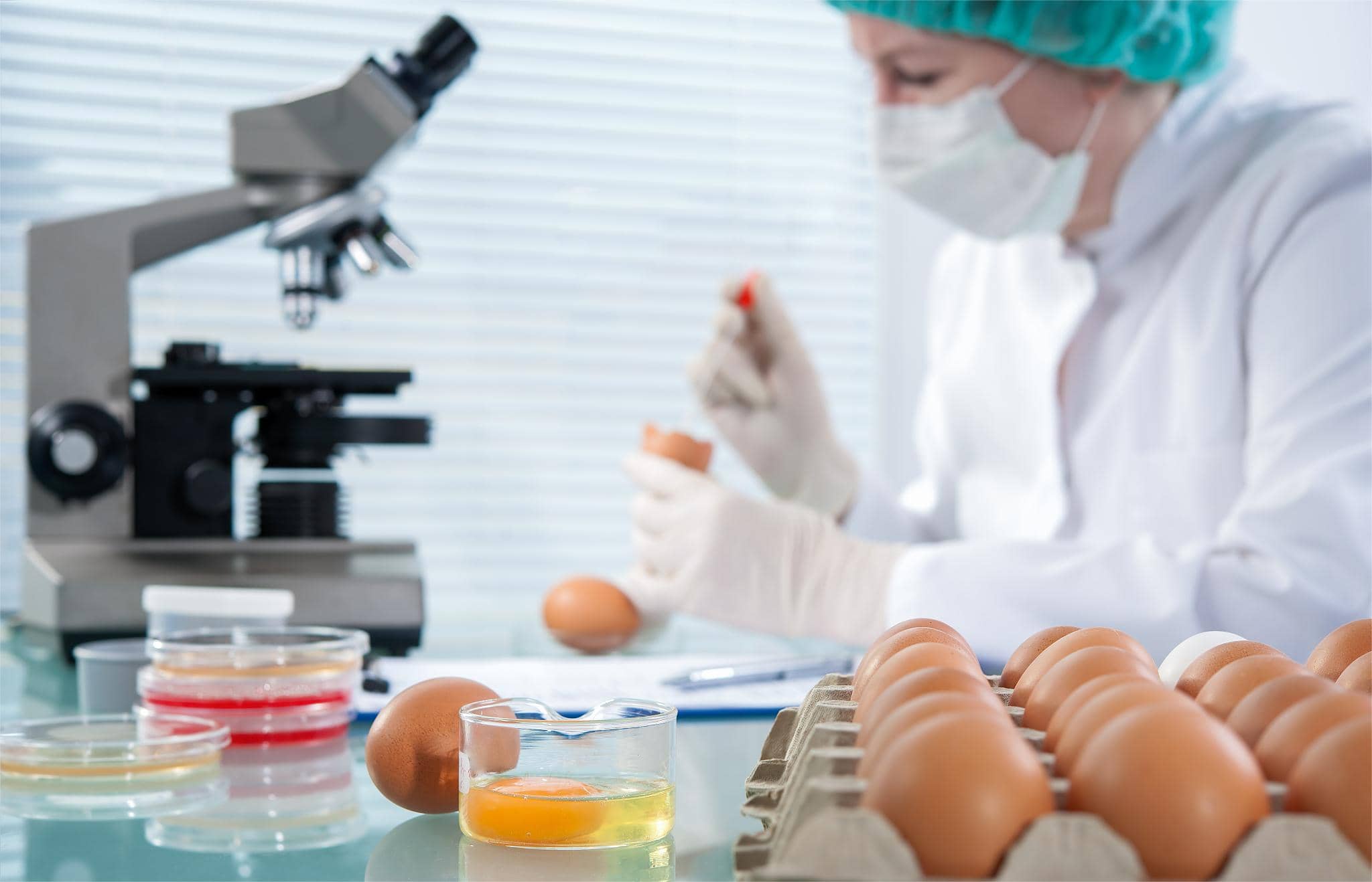 食品實驗室設計