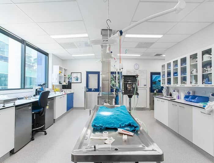 獸醫實驗室設計